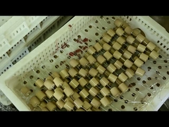 Высоковольтный керамический конденсатор 40.5kVAC-100pF 4000V для емкостного изолятора